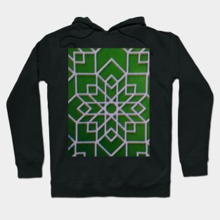 Spider webs Hoodie